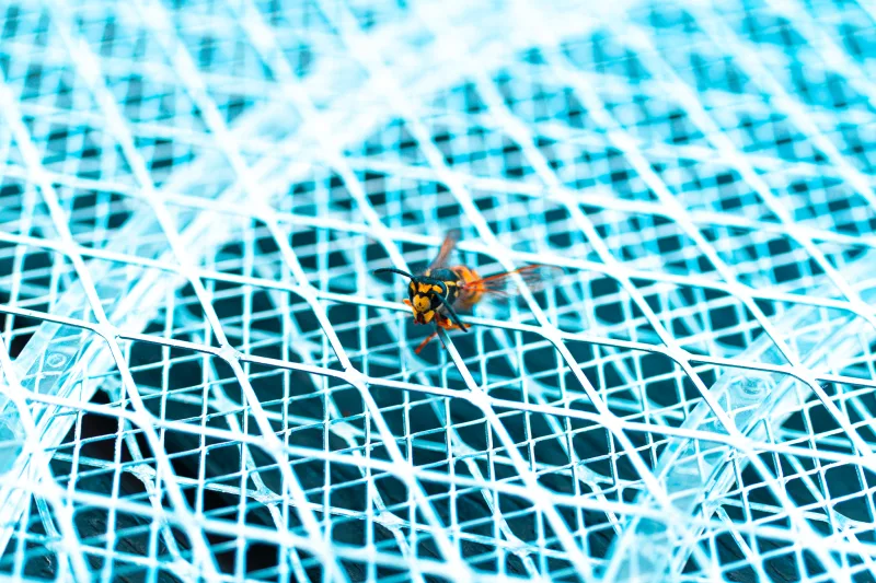 Photograph from the album “ANIMALS”, taken with SONY Alpha 7C2