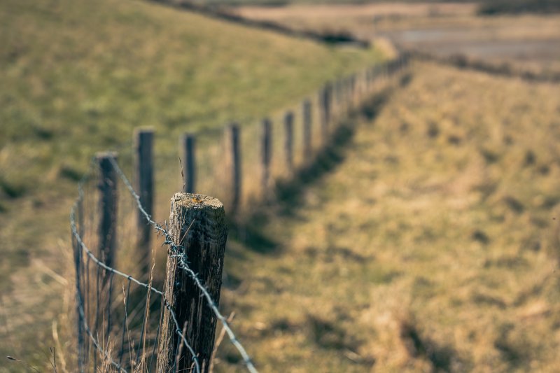 Fotografie Highlight