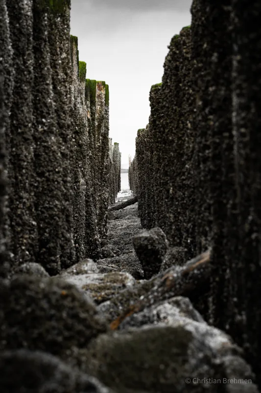 Photograph from the album “LANDSCAPE”, taken with SONY Alpha 7C2