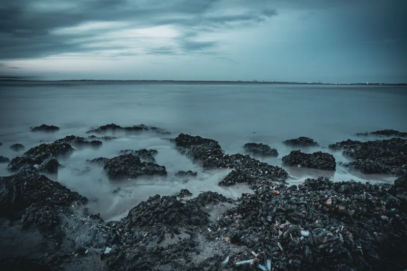 Photograph from the album “LANDSCAPE”, taken with SONY Alpha 7C2