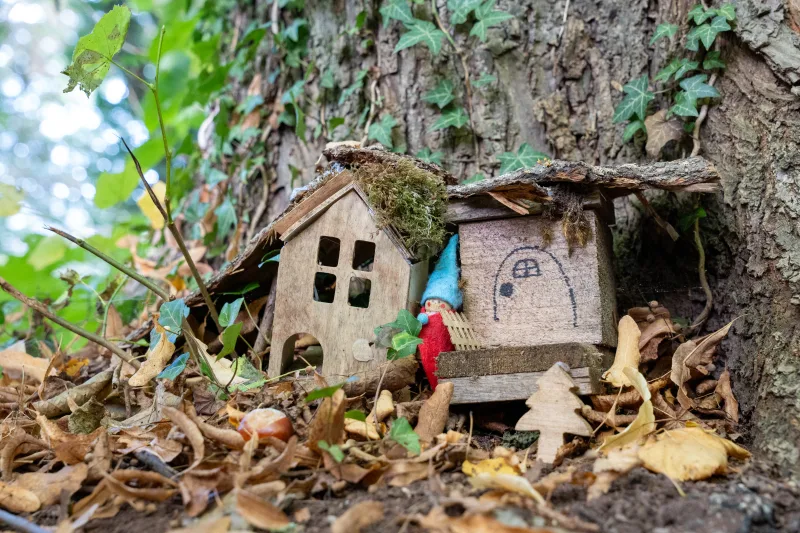 Photograph from the album “DIGITAL ART”, taken with SONY Alpha 7C2