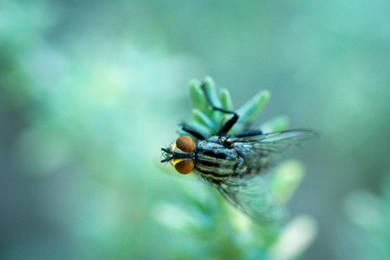 Fotografie Highlight