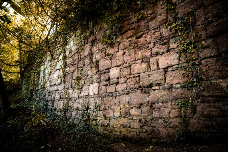 Photograph by CHRISTIAN BREHMEN, taken with SONY Alpha 7C2