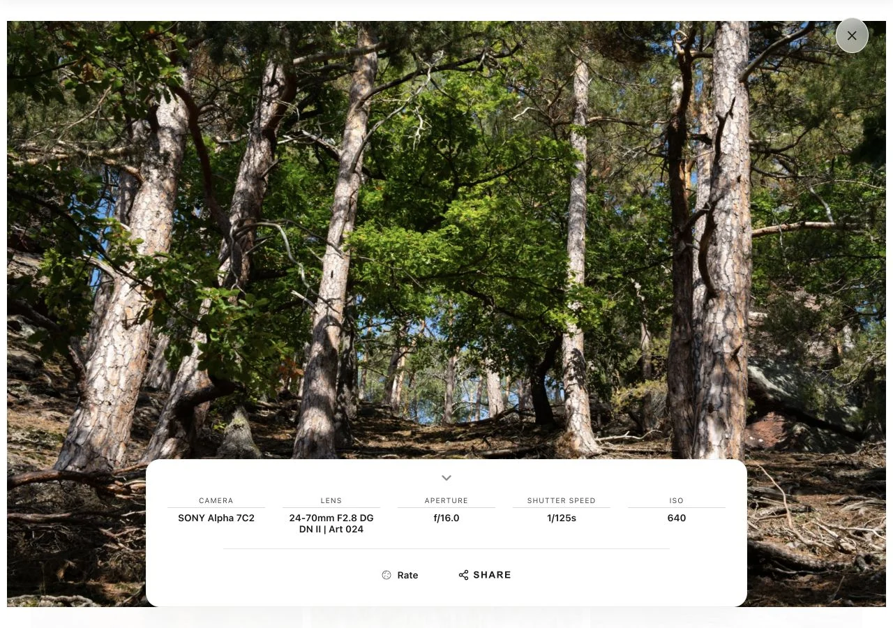 Image details & EXIF